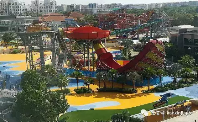 新加坡千千萬萬家榴槤蛋糕店,它說第二,沒人敢說第一!