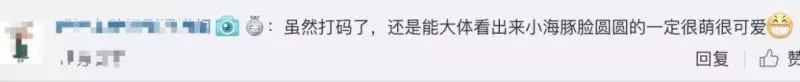 【林心如女兒首曝光!】依偎在霍建華身上十分軟萌,不知不覺「小海豚」也已經兩歲了!