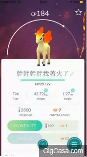 台灣人命名就是狂!12張沒看完就無法安心的照片,每隻寶可夢的命名都重創我幼小的心靈!!