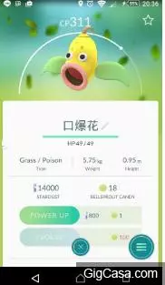 台灣人命名就是狂!12張沒看完就無法安心的照片,每隻寶可夢的命名都重創我幼小的心靈!!