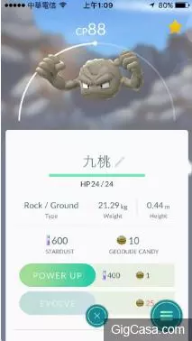 台灣人命名就是狂!12張沒看完就無法安心的照片,每隻寶可夢的命名都重創我幼小的心靈!!