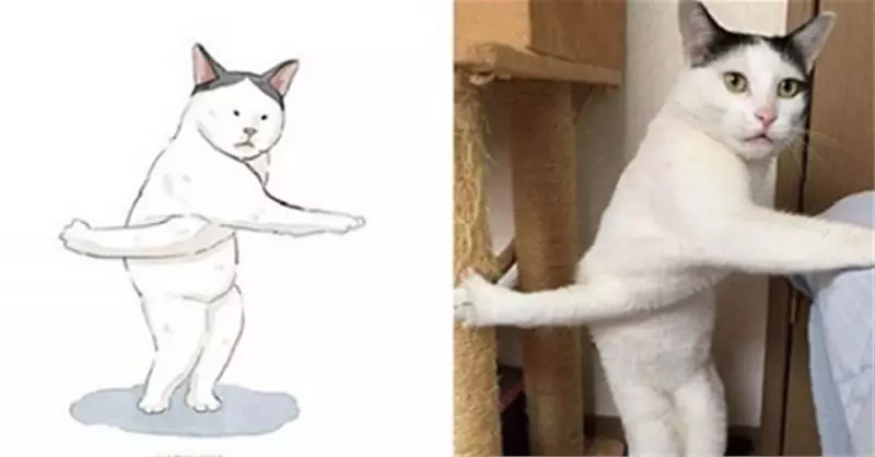 「謎之喵星人」才不是隨便畫!每張都「確有其貓」網看傻:大、大法師來啦~