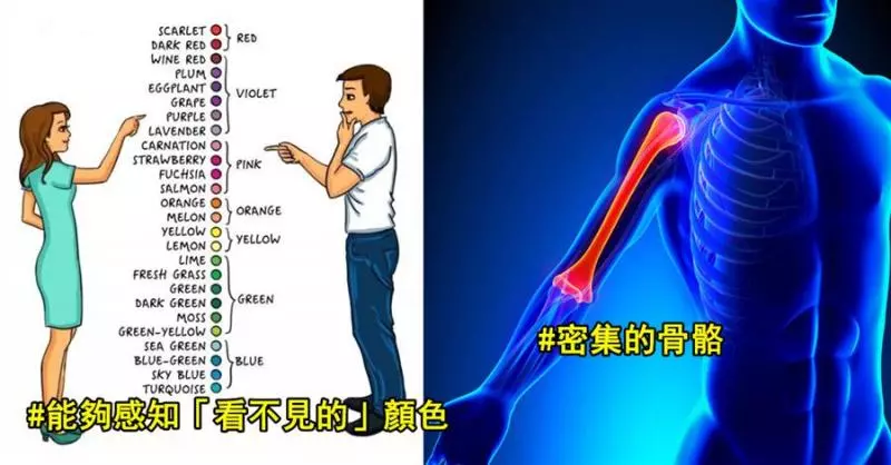 10個「只有5%人類」才有的罕見特徵 擁有「黃金血液」一生只能輸血1次