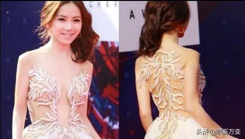 女星奇葩禮服:楊冪海苔裙,劉詩詩五花肉,賈靜雯貴賓犬,她最辣眼!