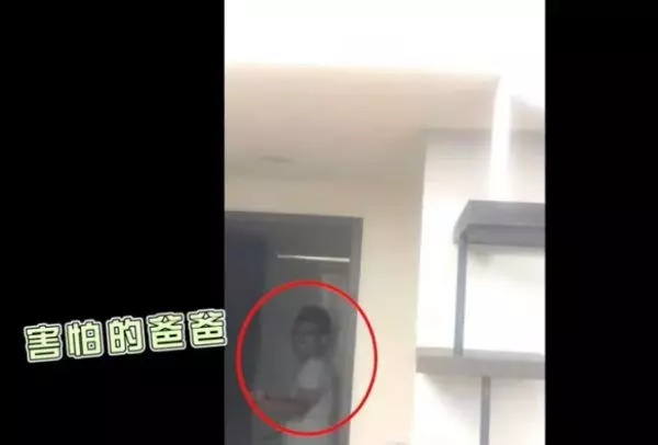 愛貓嘴裡叼小強 媽秒崩潰:別吃但也別鬆口啊!