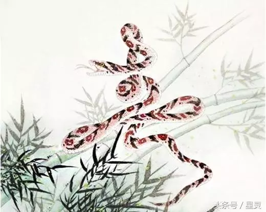 12生肖中哪個生肖的女人最有福氣?前3名會被老公伺候一生!