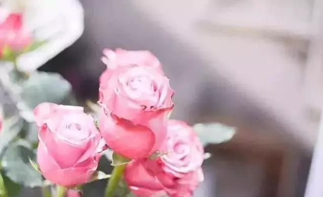 人這一輩子,平安就好