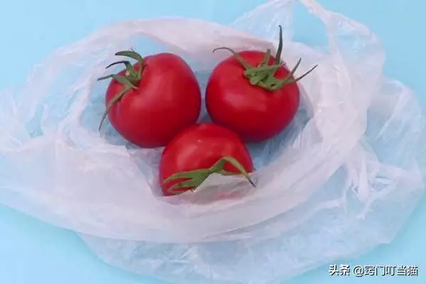 番茄不用放在冰箱保存,菜農大爺教我這一招,放5天照樣新鮮!