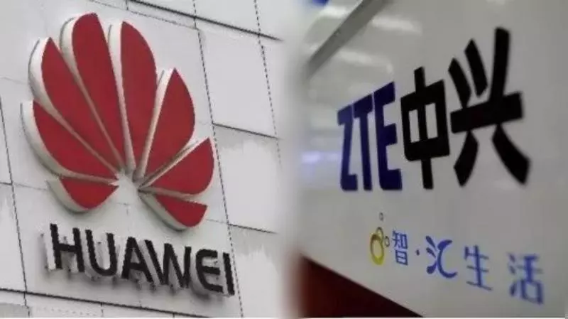 太強了!華為和中興5G專利佔比36%,助力中國爭霸全球第一