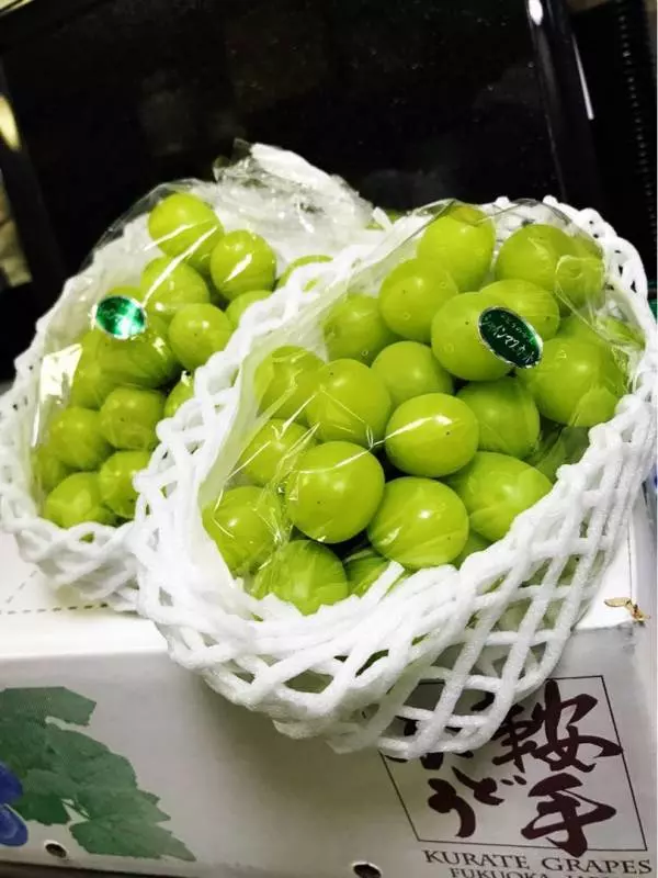 新加坡物價太嚇人,一個西瓜58新幣