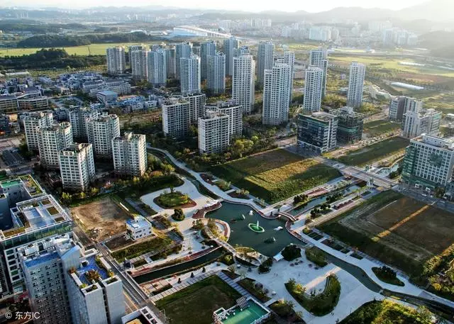 弟弟病重爸爸跪求我借20萬,我冷冷的回了幾個字,他灰溜溜地走了