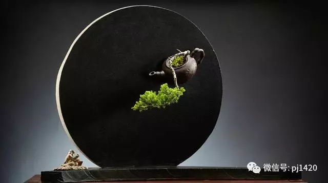 盆景"四大樂",說到心坎裡了