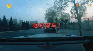 蔡少芬張晉又上熱搜:懂愛的人,都很會「吵架」!