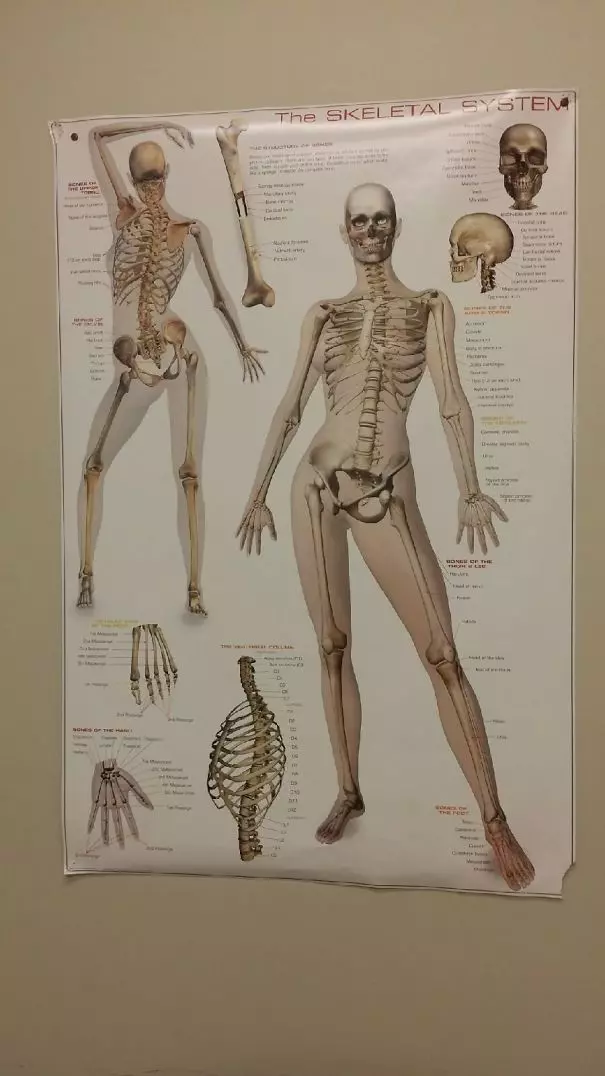21個國外醫院所真實發生的趣事!來看看這些有趣的事吧!
