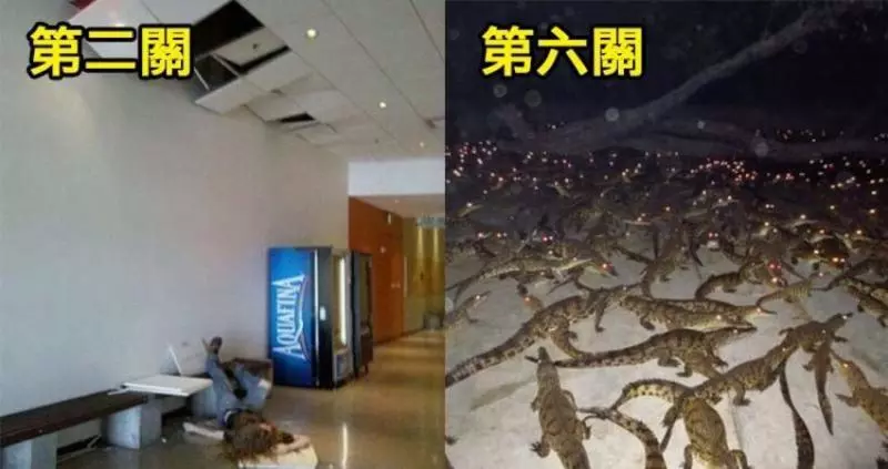 8張「會讓人忍不住有些怕怕」的戰慄照片