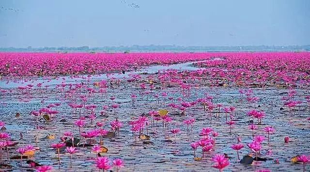 泰國19個最美麗的地方,你打卡過幾個?