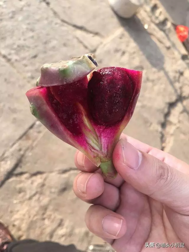 北海,一定去吃一遍的地方