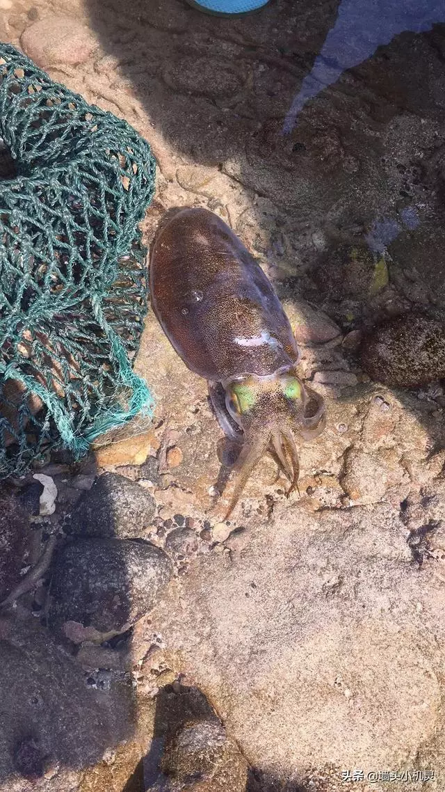 北海,一定去吃一遍的地方