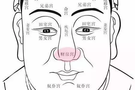 臉上三大吉痣,是財氣最充足的痣相,你有嗎?