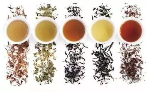喝茶過多真會損傷腎臟?