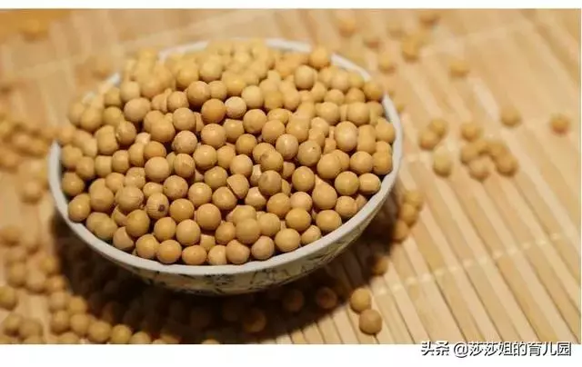 豆類食物,你不知道的禁忌和功效?