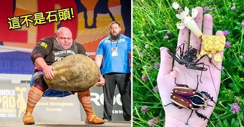25張證明「其實人類的眼界是很狹窄」的震撼驚奇照