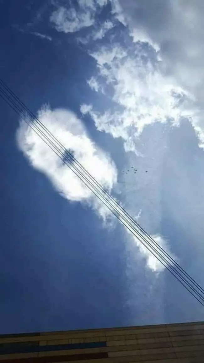 24張「盯著看3秒就會想歪」的超爆笑照片 他竟然在公車上看到詭異生物!