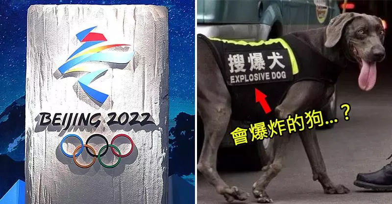 老是被笑「破英文」...北京砸重金拼了! 預計2022冬奧前「換掉所有超瞎錯誤翻譯牌」