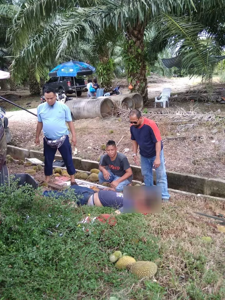 司機癲癇症發作 華裔榴槤販被活活撞死