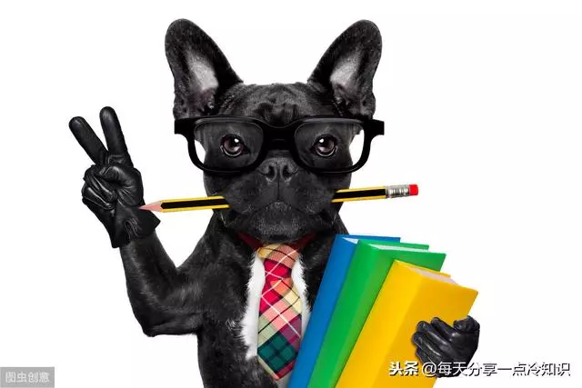 10個食物趣味冷知識,世界上第一份炸藥是用花生做成的