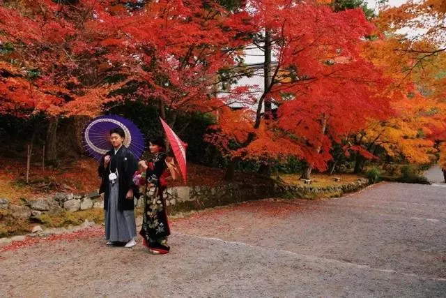 日本旅遊攻略:初次游關西,應該這樣玩