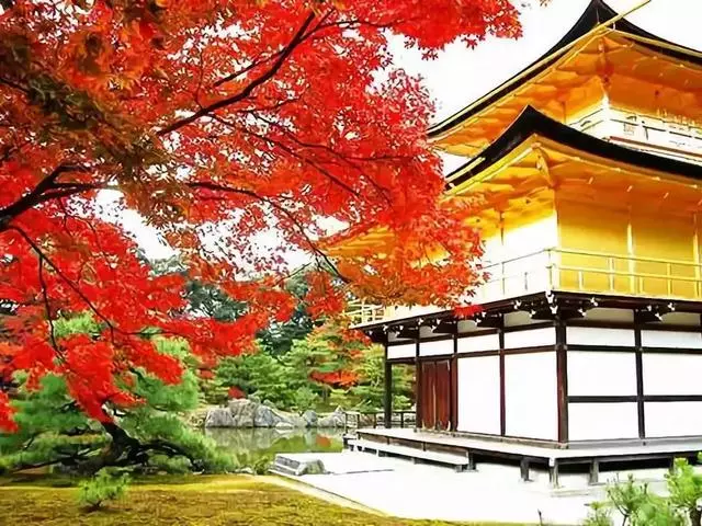 日本旅遊攻略:初次游關西,應該這樣玩