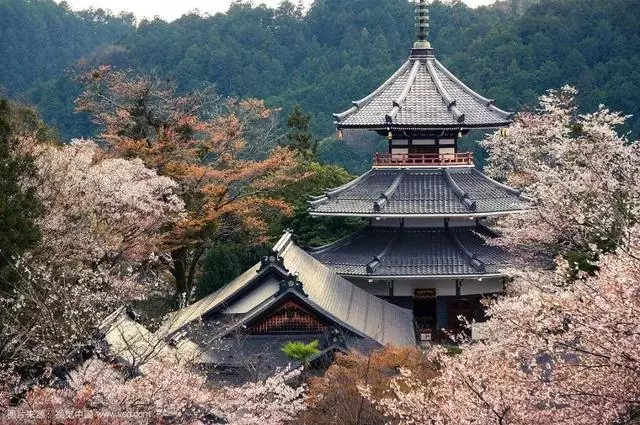 日本旅遊攻略:初次游關西,應該這樣玩