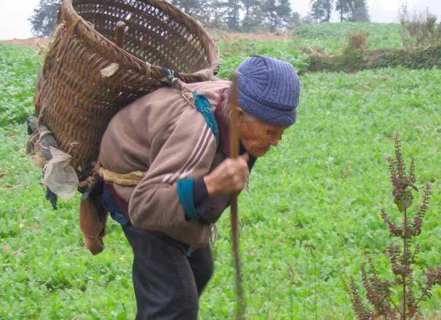 母親分財產:錢給老大、房給老二、最孝順的老三隻拿一封信,看完當場跪下
