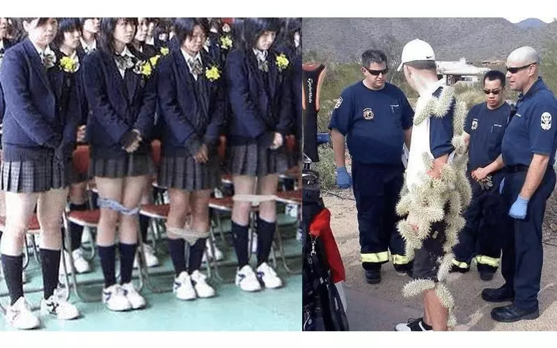 17張古怪離奇照片讓人在螢幕前看傻眼...#8看了全身發癢啊!