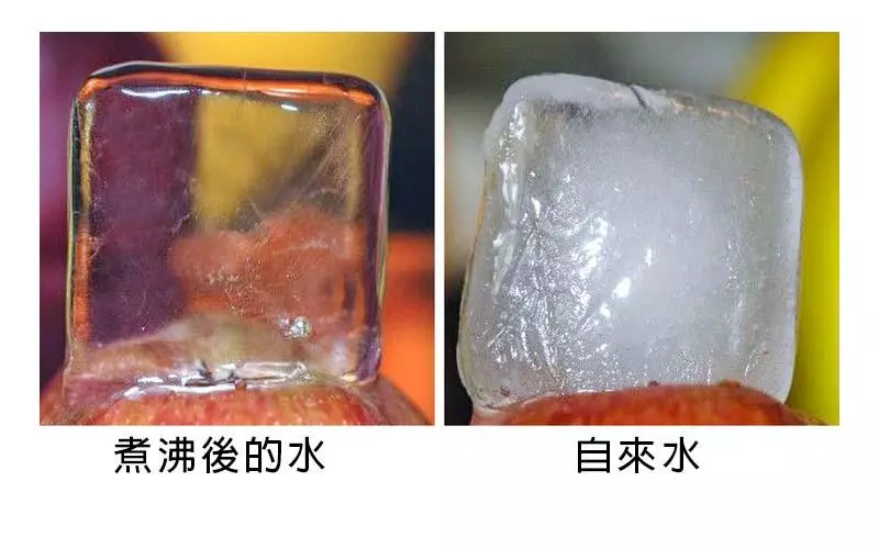 「一連串讓你不得不服的驚奇事實」...煮沸後的水與自來水結成冰塊的差異好大!