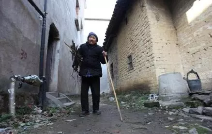 老人病重,老大老三搶家產,房樑上傳來狗叫,老二爬上去愣住了
