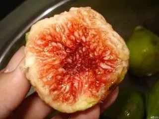 它是治療痔瘡的「天然良藥」, 每天吃一點, 潤腸通便,幾塊錢一斤便宜用處多!