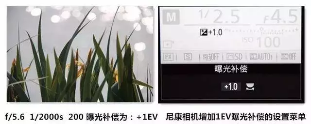 攝影基礎知識:白加黑減到底是什麼?
