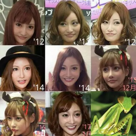 明日花整上癮!近照曝光「一個回眸撞臉螳螂」99%激似擬態顏網友喊:快用不下去了