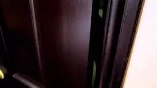 合租的室友姊姊太狂了 三次巧遇活春宮,我很肯定都不同人 男友根本綠光罩頂欸