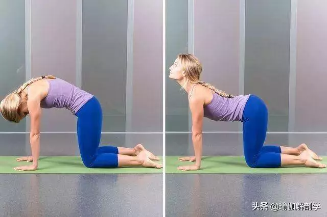 10個簡單的瑜伽動作,最適合瑜伽初學者