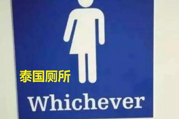 三國廁所對比,日本溫馨,印度奇葩,泰國2個字來形容