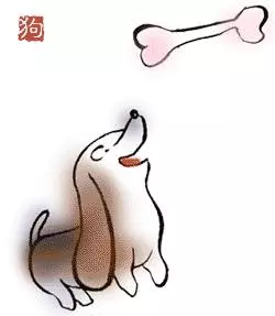 你是哪年出生的?看看你是什麼命