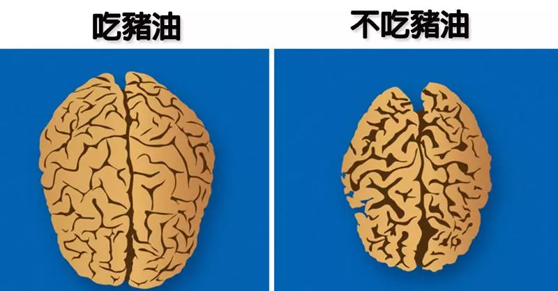 專家公布12種常見食物「對身體的影響」 肉桂「優點太多」挑食也該吃!