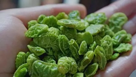 20種毛豆的做法,美味健康,吃過一次再也忘不了