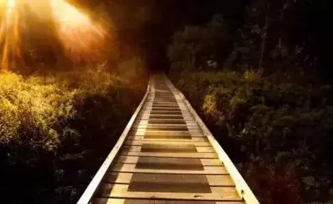 成功沒有奇蹟,只有軌跡!(深度好文)