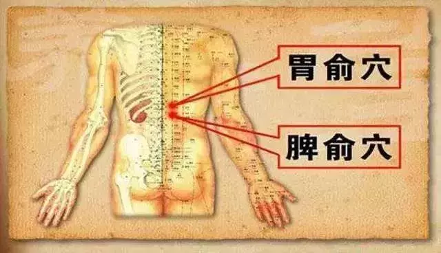 10個補氣常用穴位和10個補血常用穴位,收好