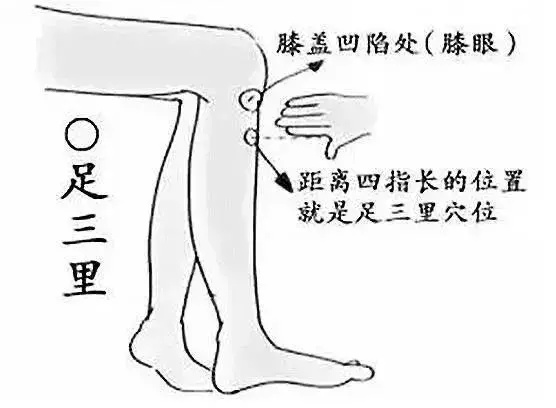10個補氣常用穴位和10個補血常用穴位,收好