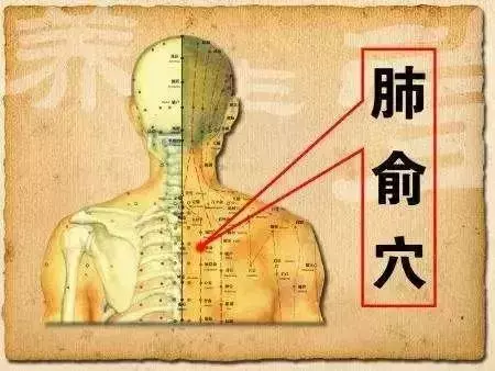10個補氣常用穴位和10個補血常用穴位,收好